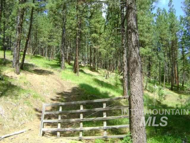 TBD Bear Gulch - Photo 1