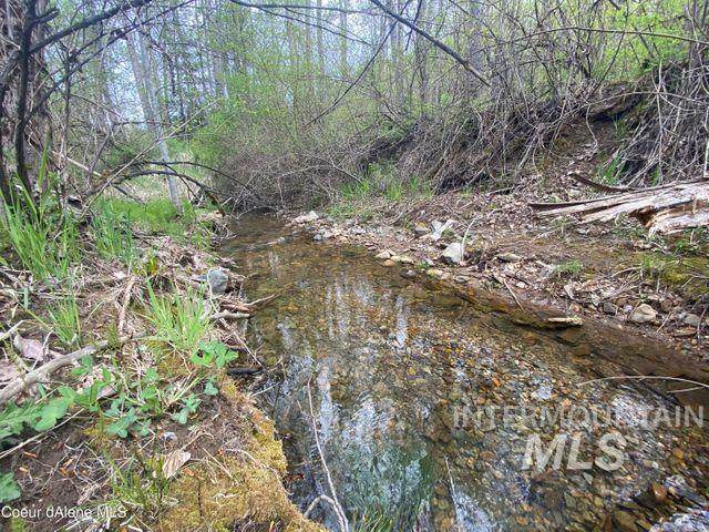 NNA French Gulch - Photo 1