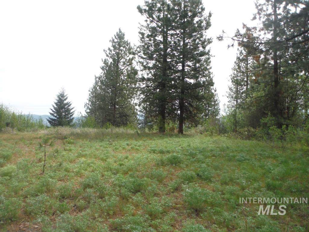 Lots 1 & 2 Wilderness Ridge - Photo 1