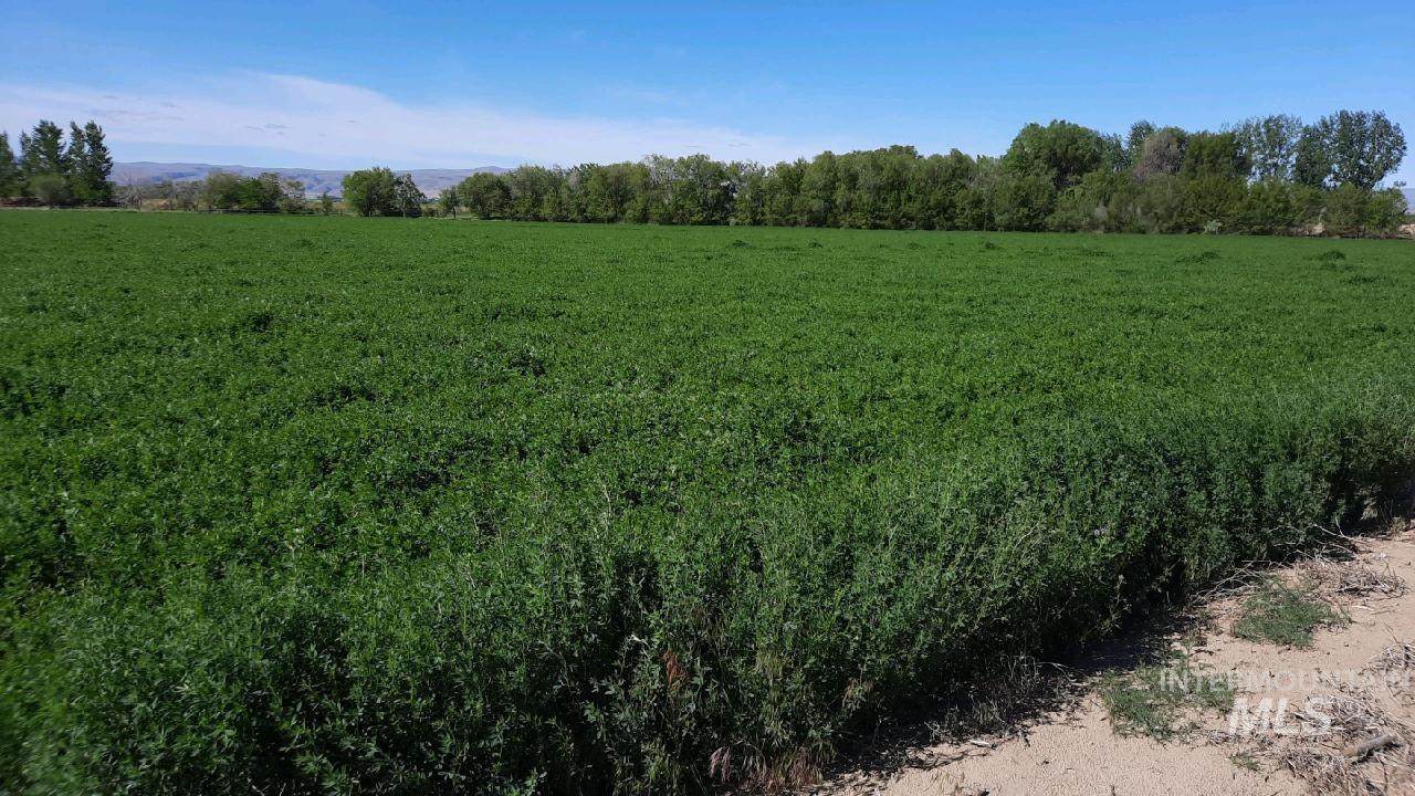 20ac TBD Graphic Lane - Photo 1