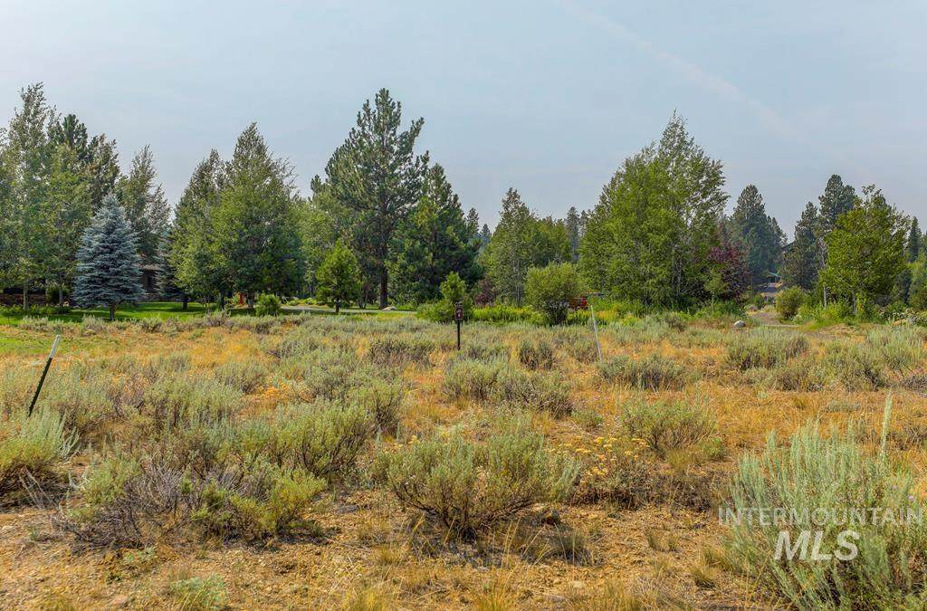 252 Morgan Drive - Photo 1