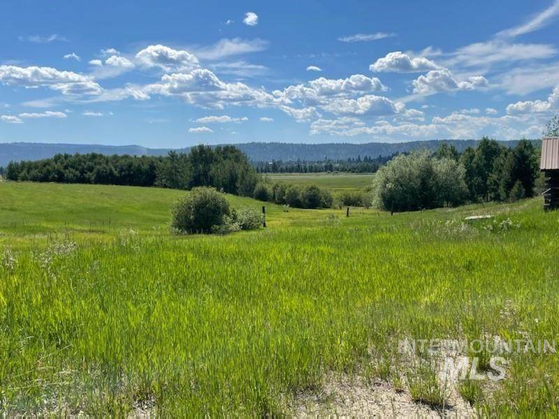 790 Highway 55 - Photo 1
