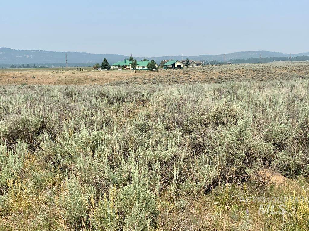 13859 Williams Rd - Photo 1