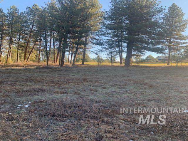 TBD Lot 10 Block 23 Meadowridge Estates - Photo 1
