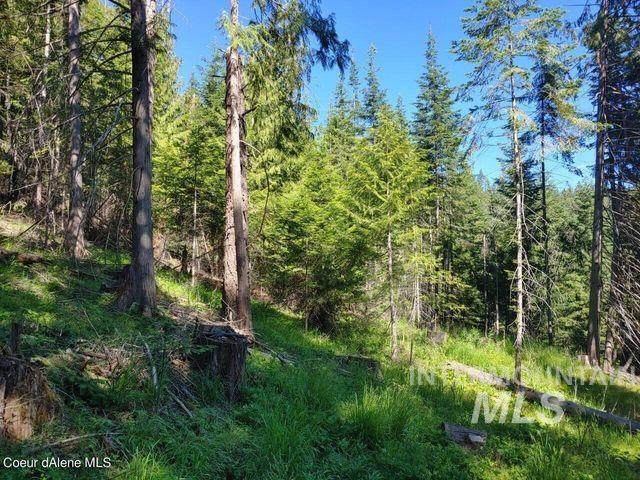 NKA Railroad Grade Tract 2 - Photo 1