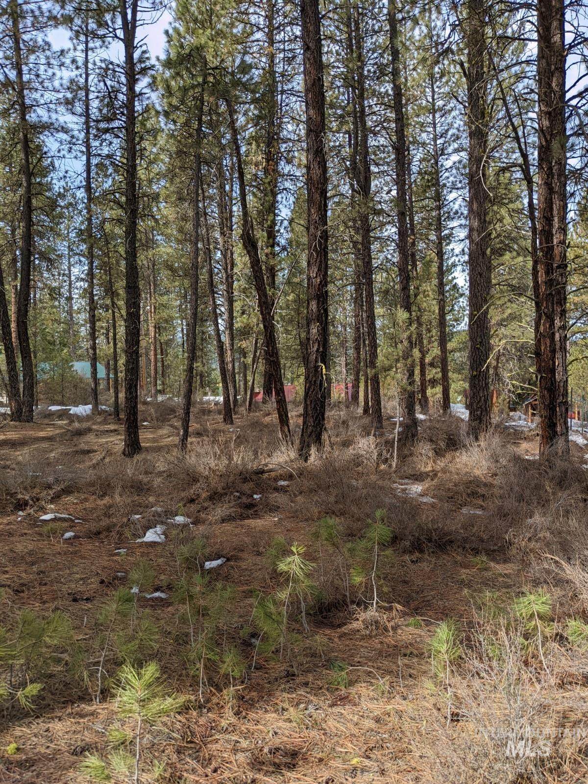 TBD View Drive - Photo 1