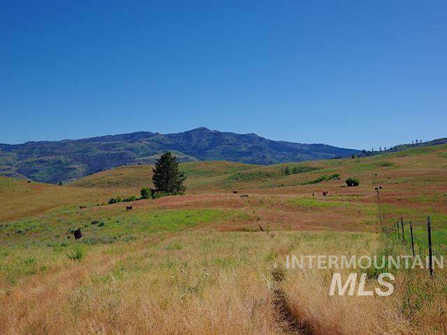 TBD Grays Creek Road - Photo 1