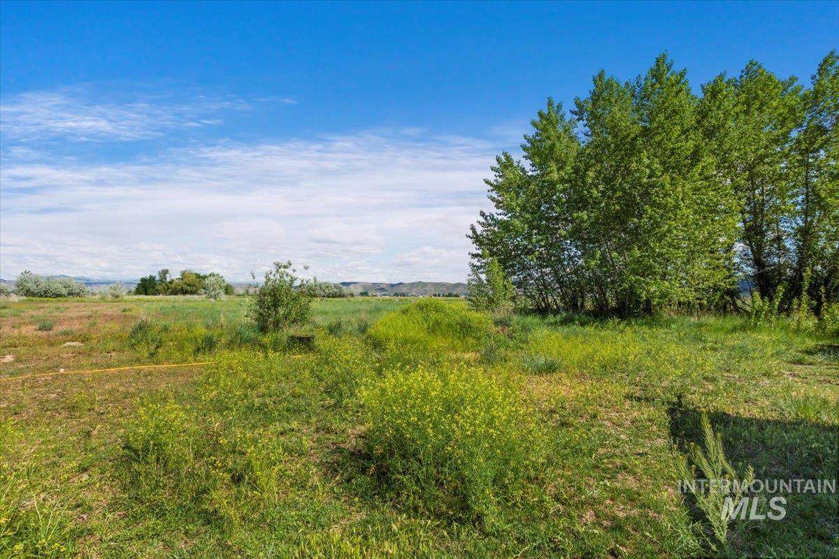 2240 Star Ln - Photo 1