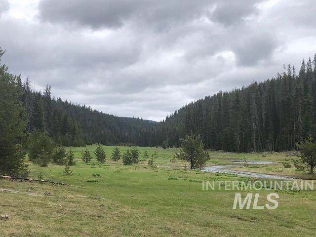 TBD Table Meadows Road, Manes Meadow - Photo 1