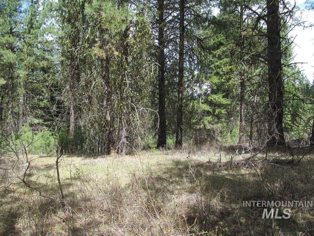 44 Red Leaf Dr - Photo 1