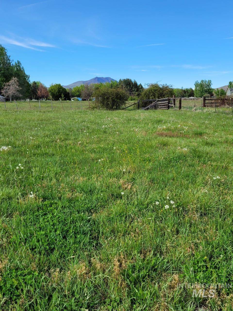 1380 Jordan Lane - Photo 1