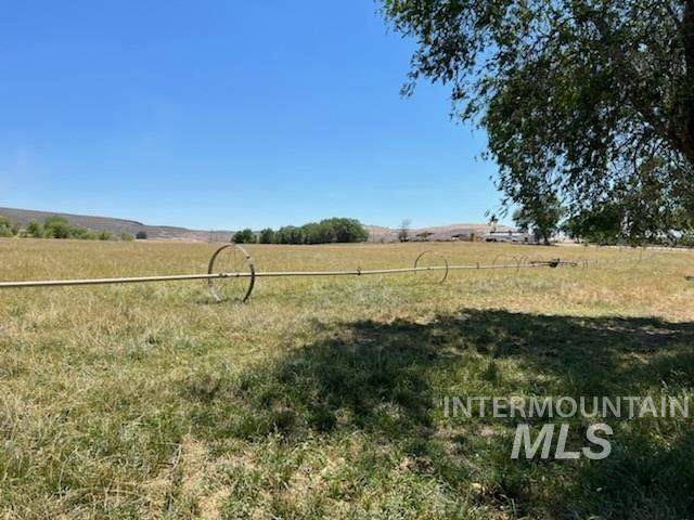2931 Hwy 20 - Photo 1