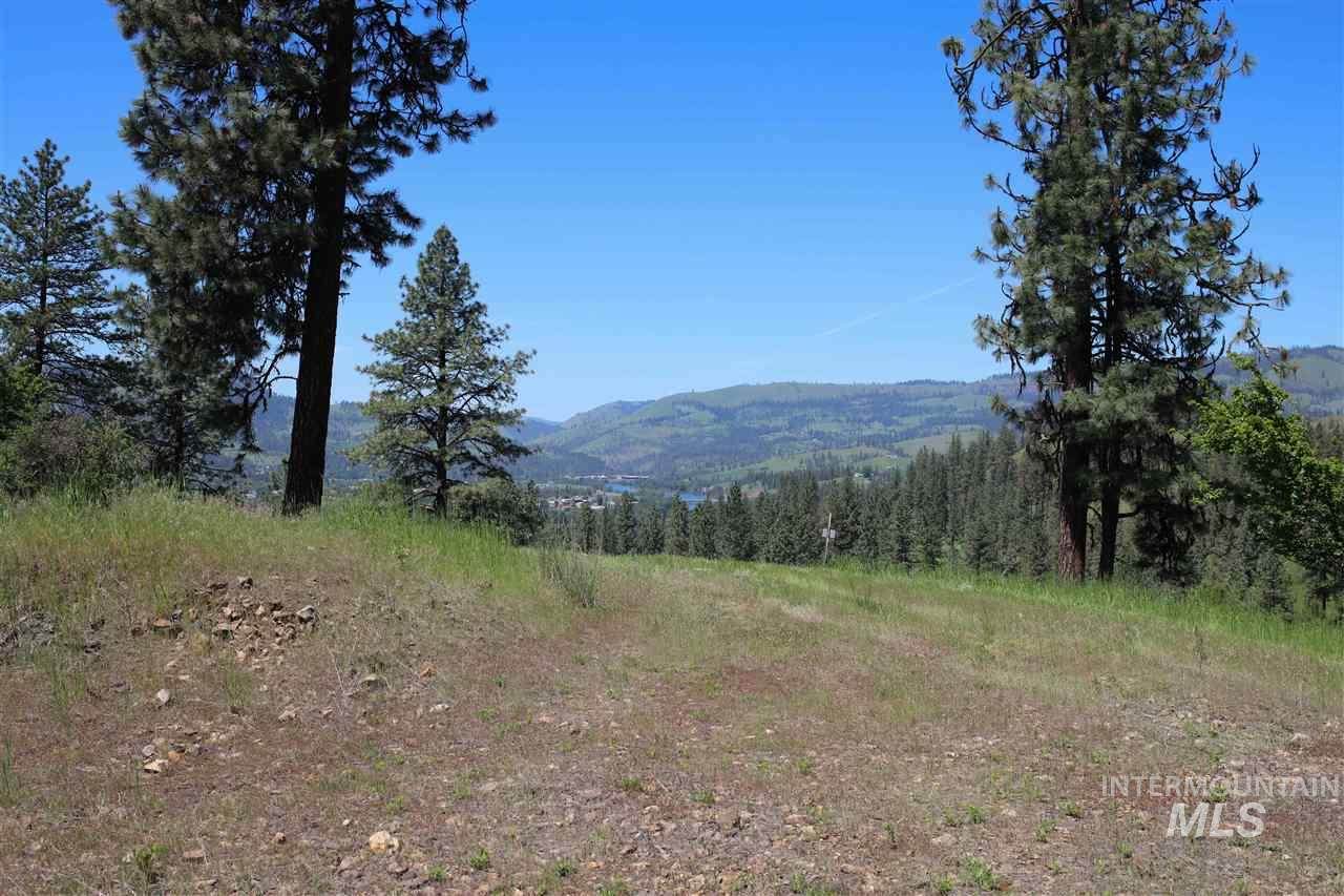 lot 15 Remington Hills - Photo 1
