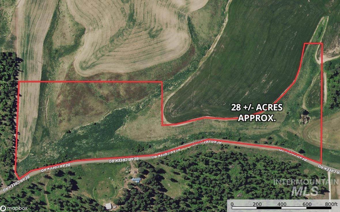 tbd Bear Creek Road - Photo 1