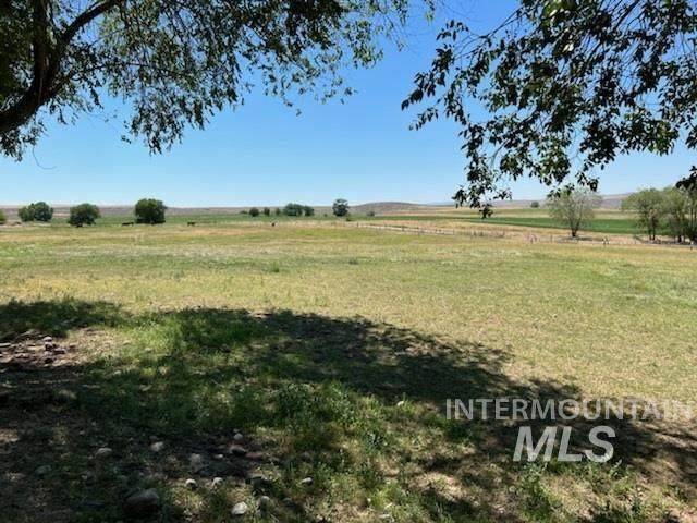 2931 Hwy 20 - Photo 1