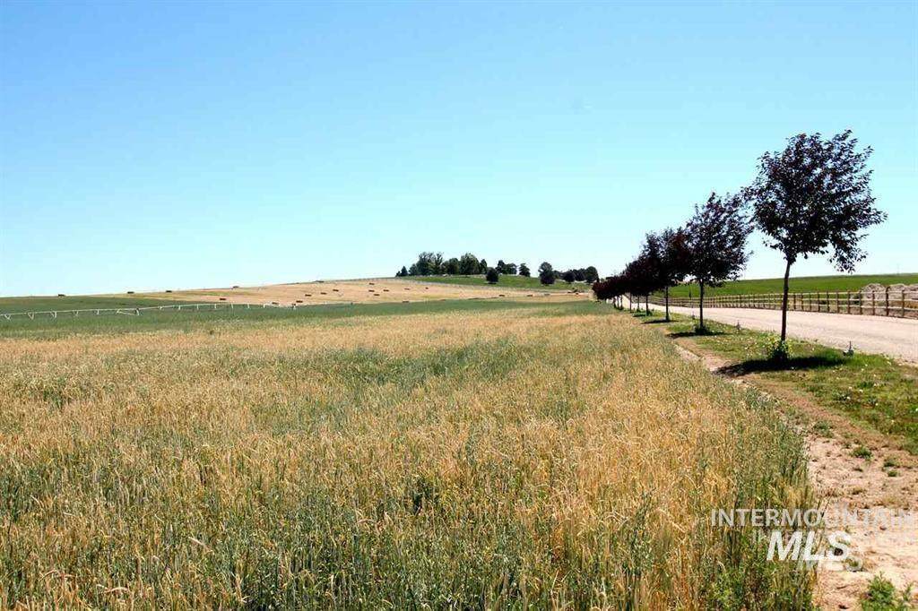 000 Farner Rd - Photo 1