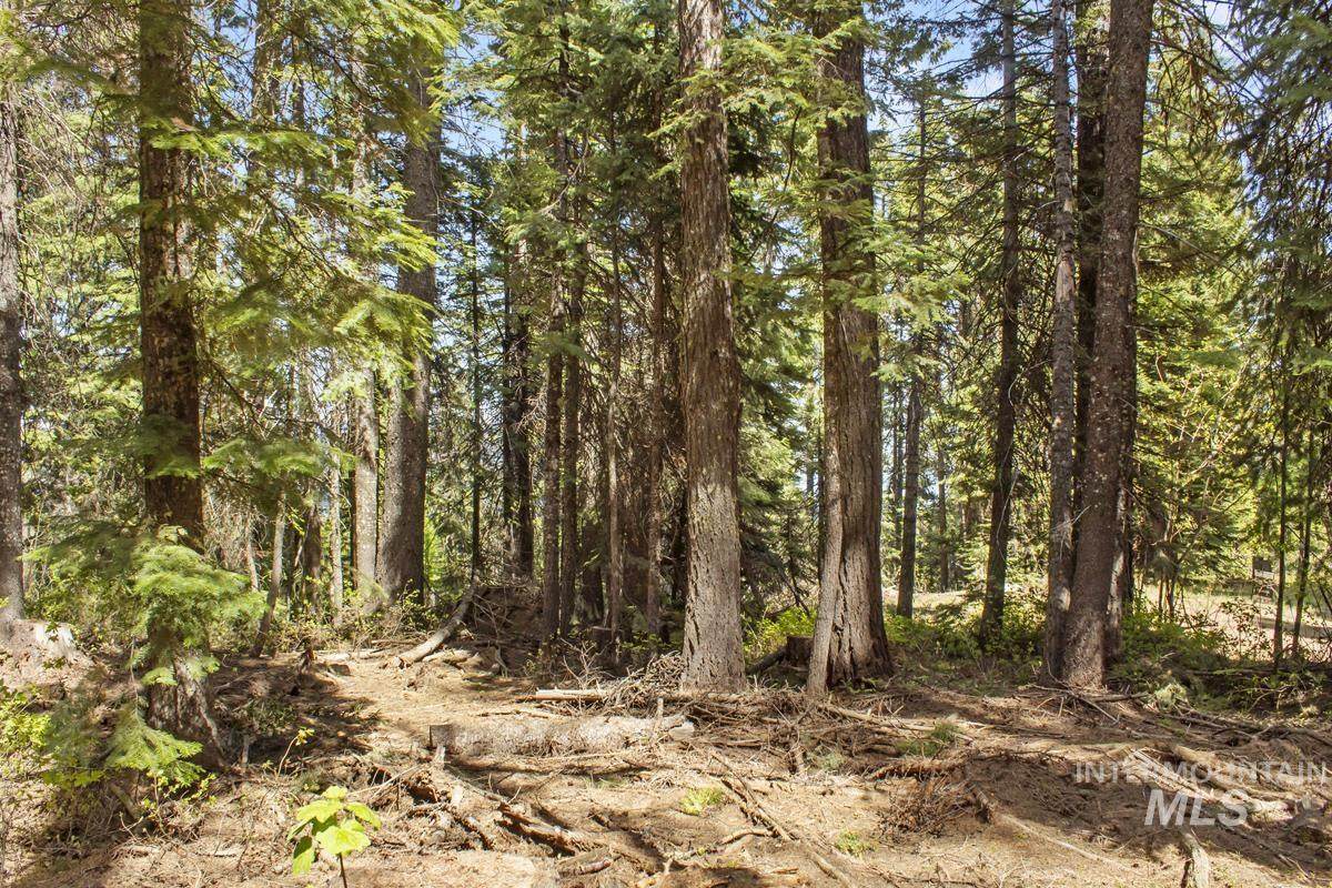 80 Arling Trail - Photo 1
