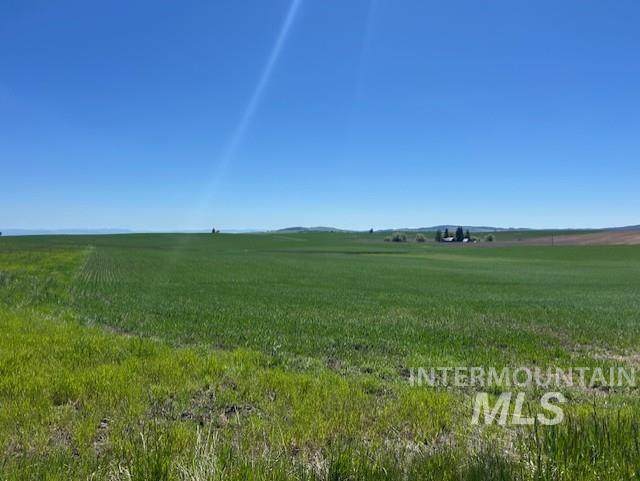 TBD Klein Rd - Photo 1