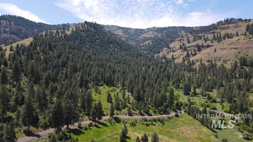 TBD Saddle Ridge Rd - Photo 1
