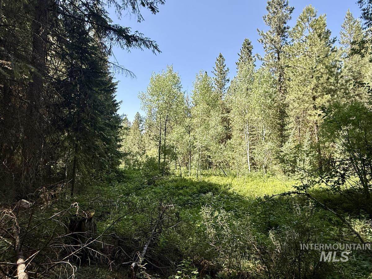 83 Panorama Drive - Photo 1