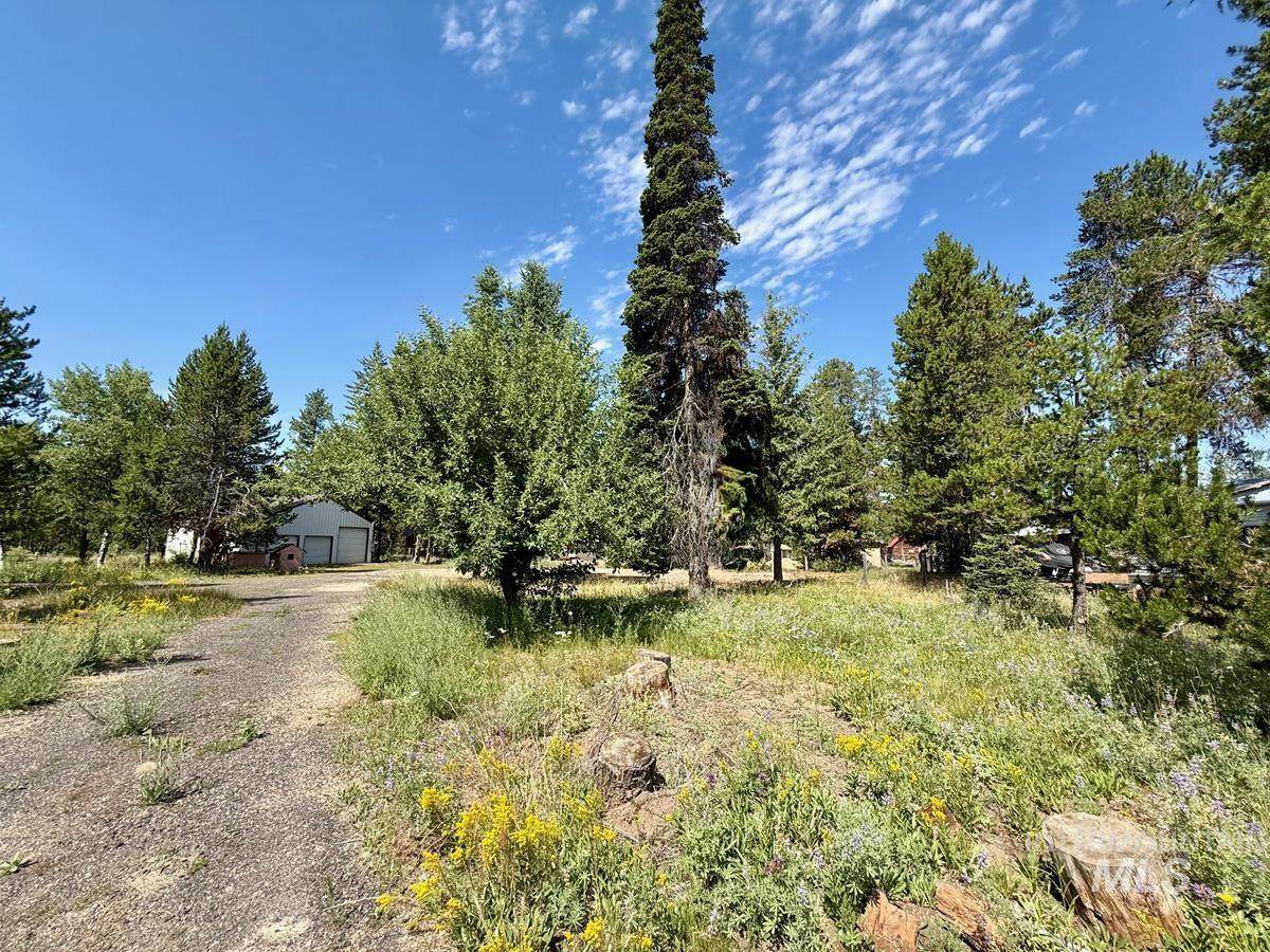 12989 Patty Drive - Photo 1