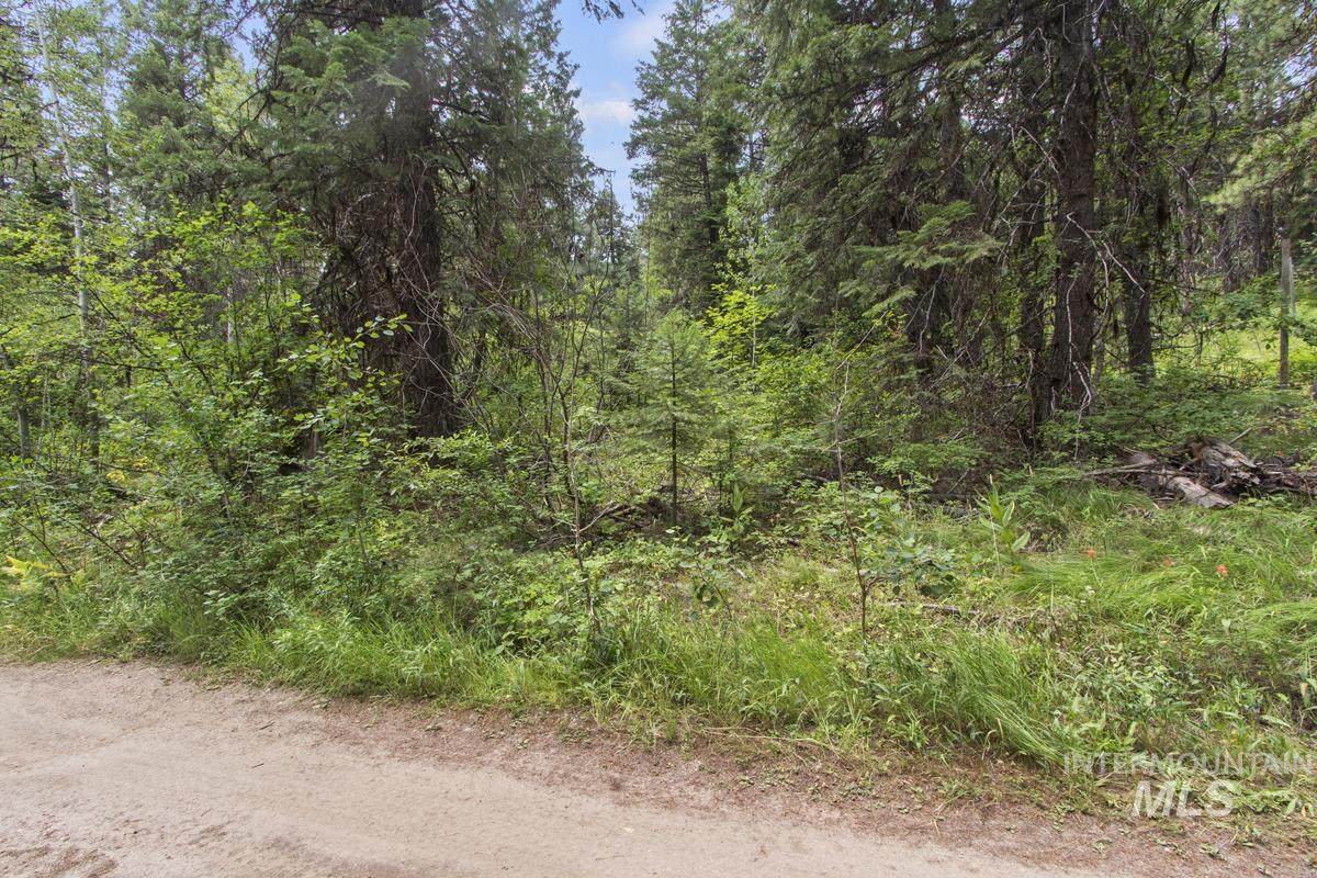 517 Susan Road - Photo 1