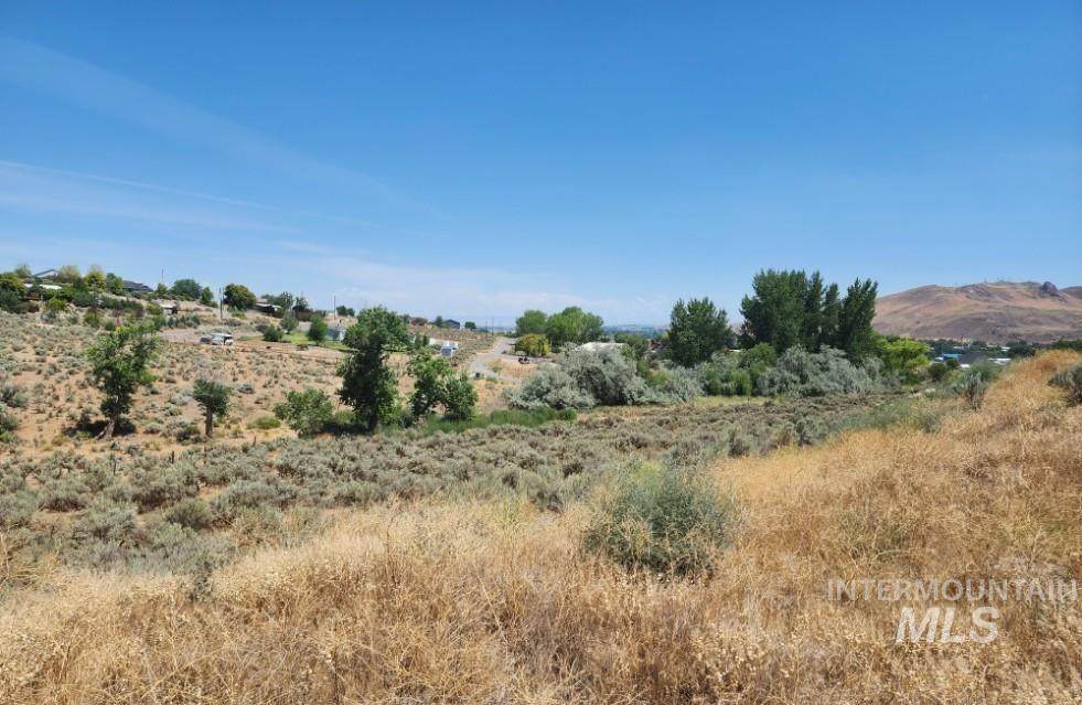 TBD Thousand Springs Road - Photo 1