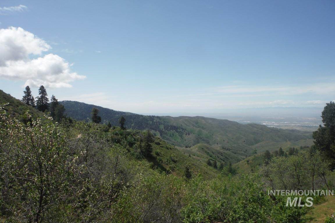 TBD Boise Ridge Road - Photo 1