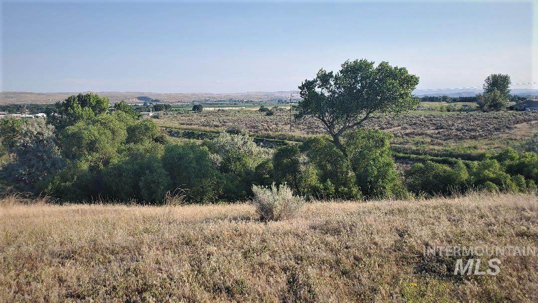 TBD Thousand Springs Road - Photo 1