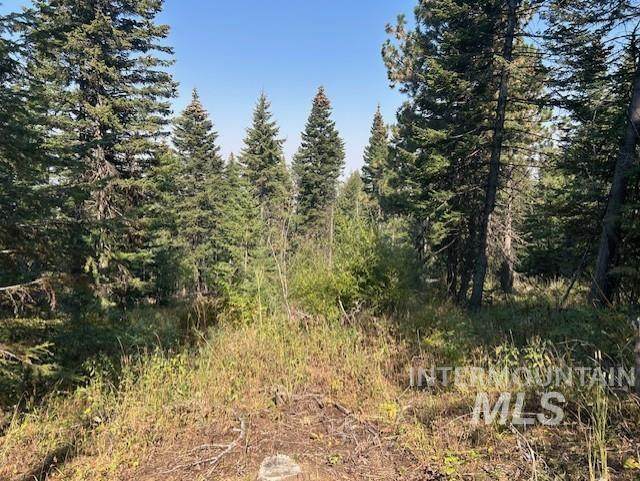 TBD Radar Rd - Photo 1