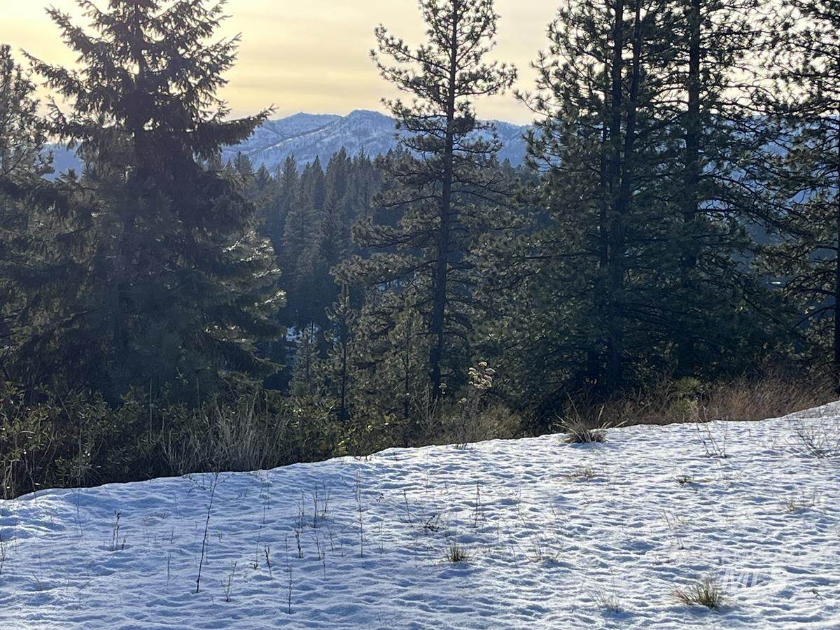 11 Augustus Way - Photo 1