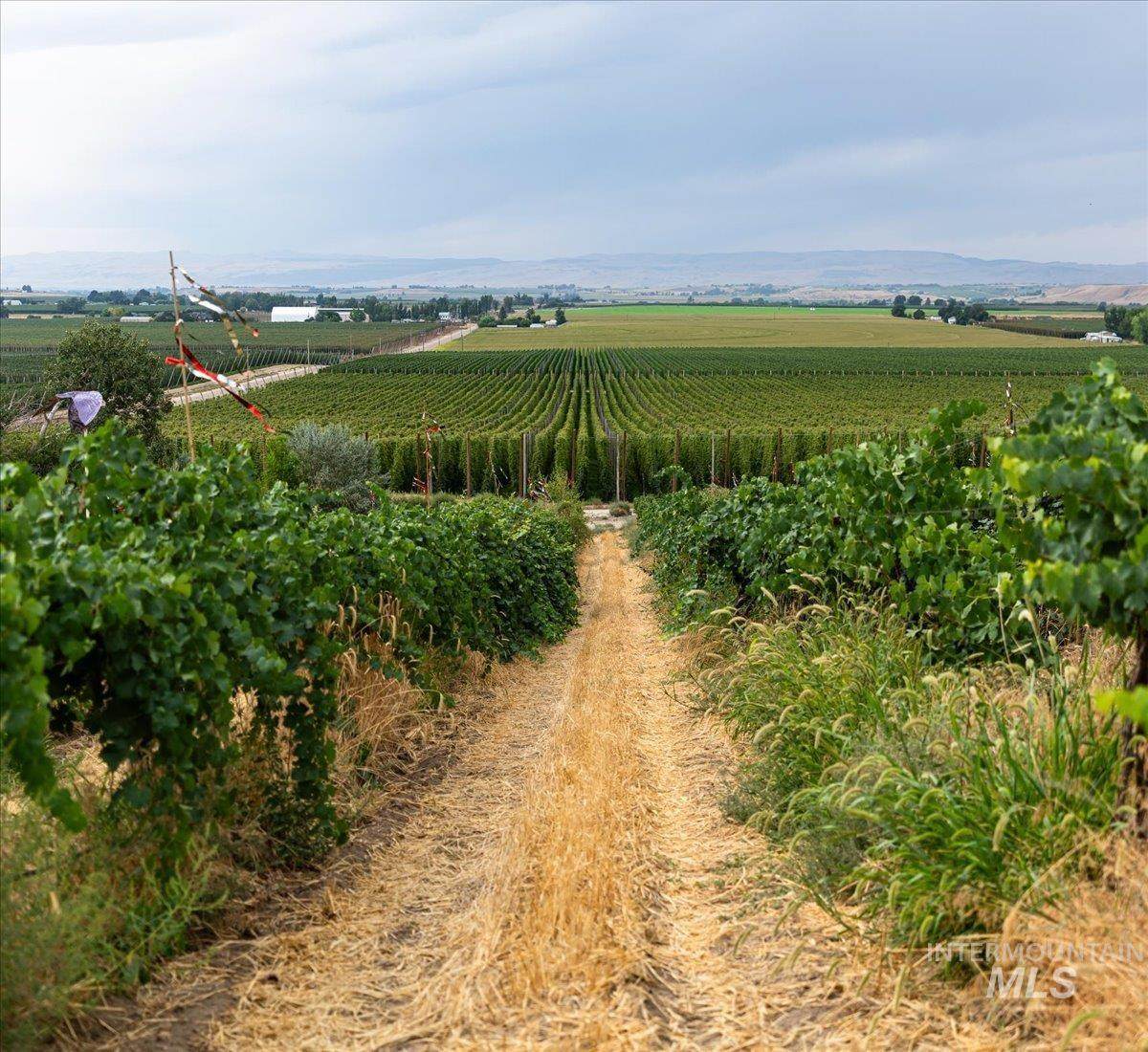 24013 Arena Valley Rd - Photo 1