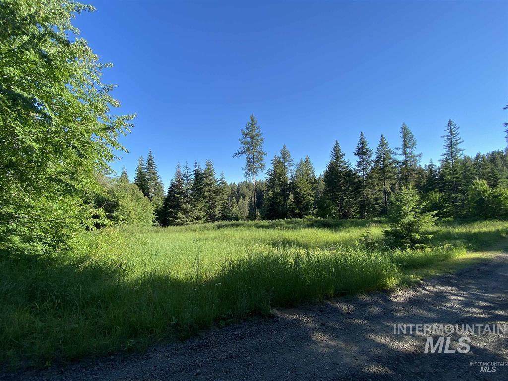 TBD Buckboard Lane - Photo 1