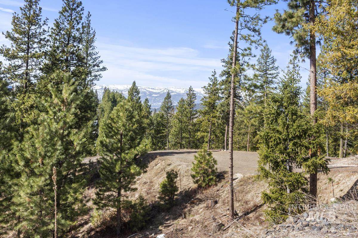 17 Tito Trail - Photo 1