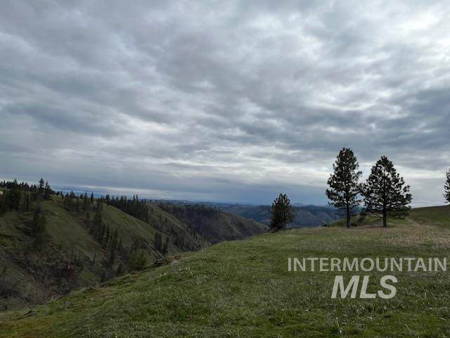281 Flying Elk Drive - Photo 1
