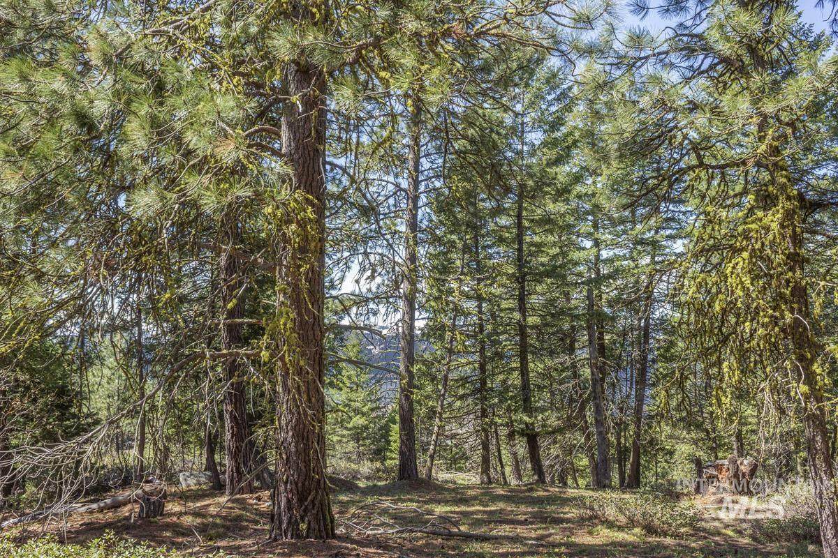161 Little Donner Drive - Photo 1