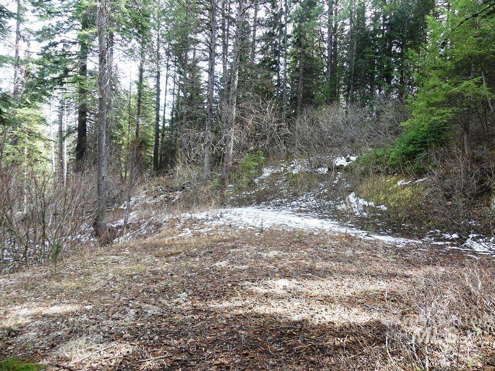 573 West Mountain Road - Photo 1