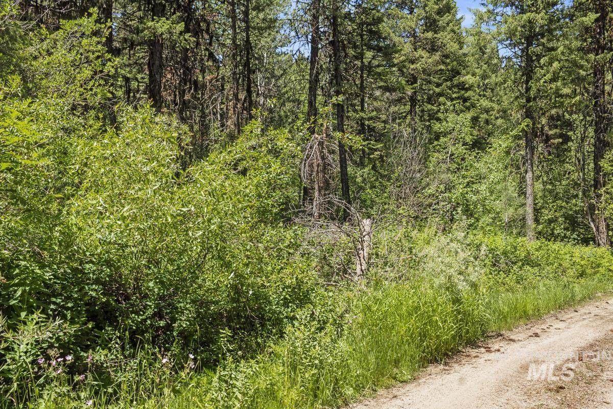 513 Susan Road - Photo 1