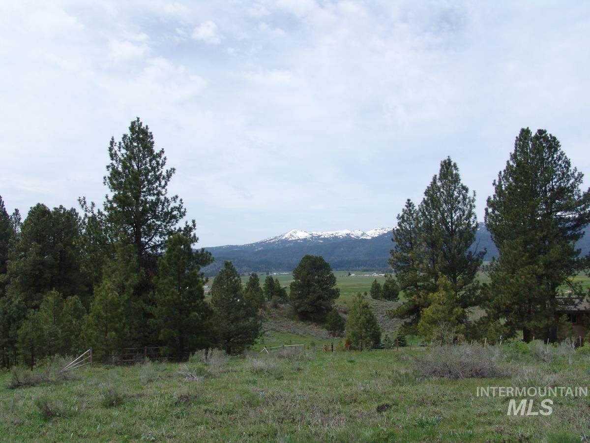 10848 Callender Road - Photo 1
