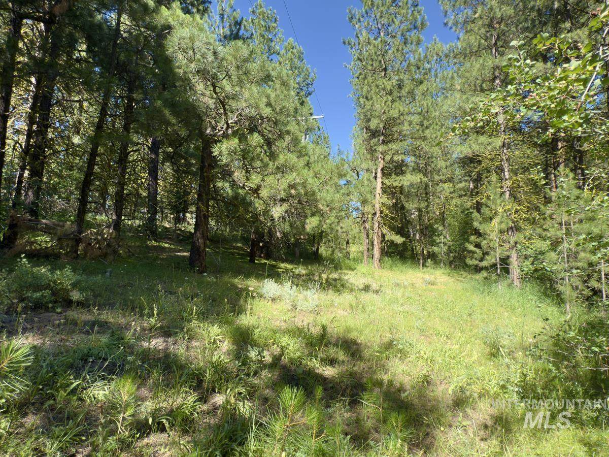 18 & 20 Shady Pine Way - Photo 1