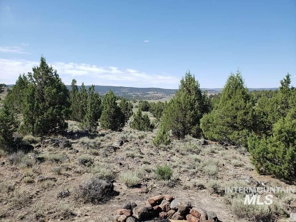 Tract 44 Triangle Ranch - Photo 1