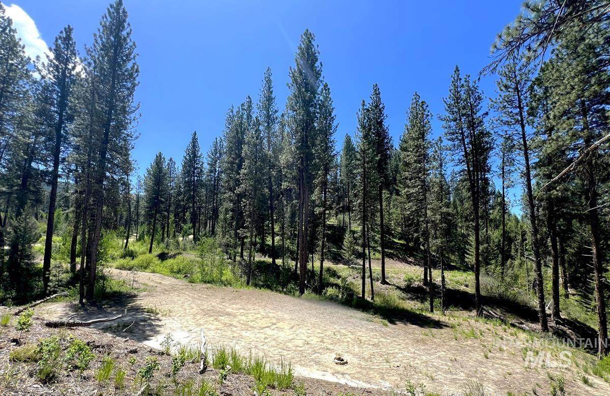L16 B1 Shaw Gulch Road - Photo 1