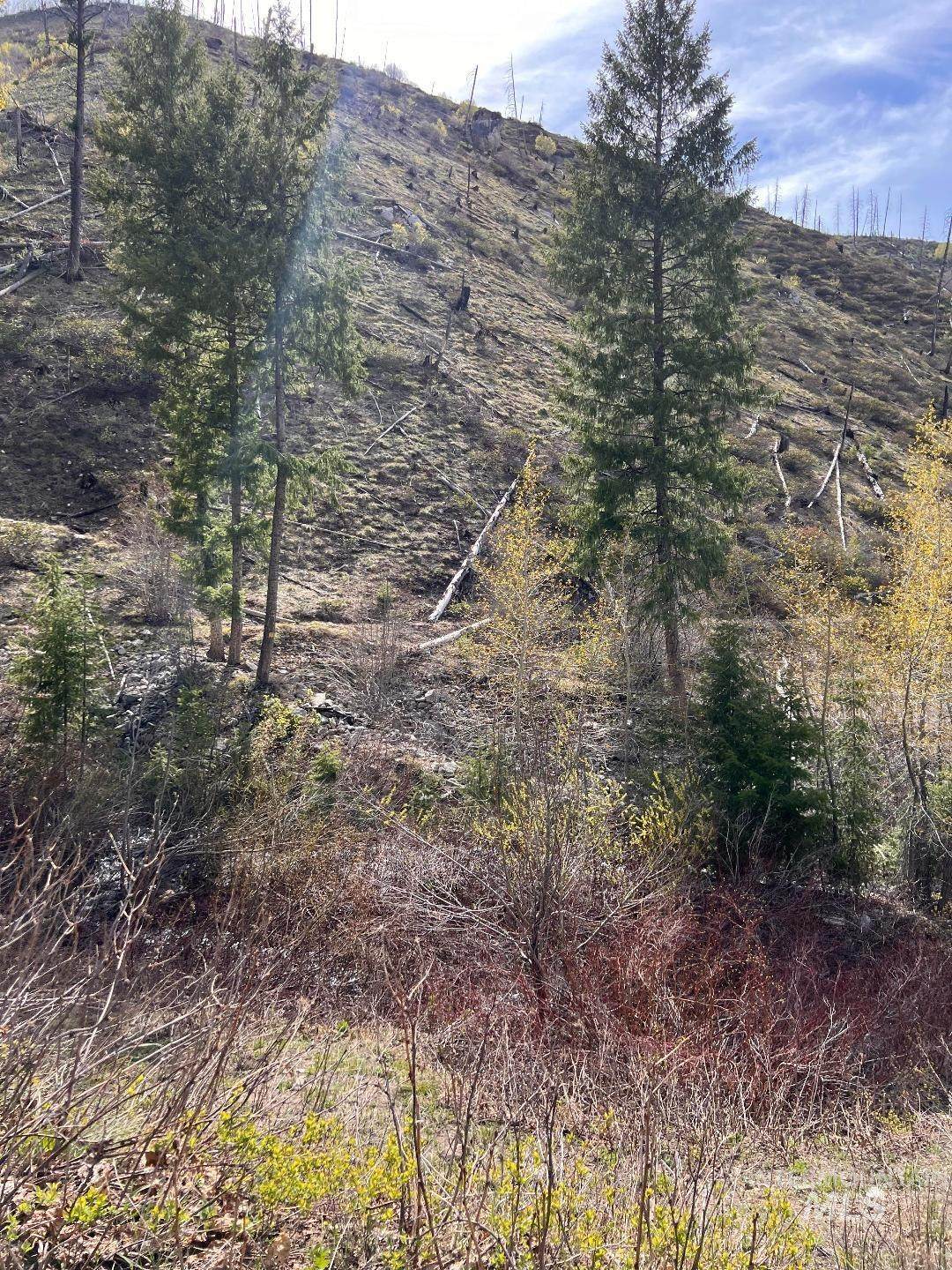  Quartz Creek Rd. - Photo 1