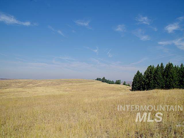 TBD Ditch Creek Road - Photo 1
