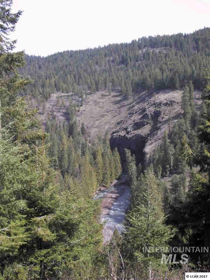 TBD Potlatch River Timberland West - Photo 1