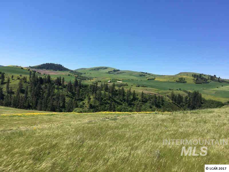1262 Thorn Springs Rd - Photo 1