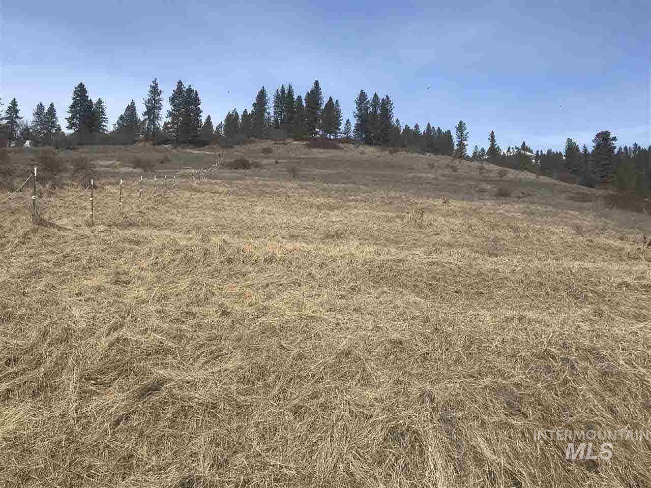 TBD Old Peck Grade - Photo 1