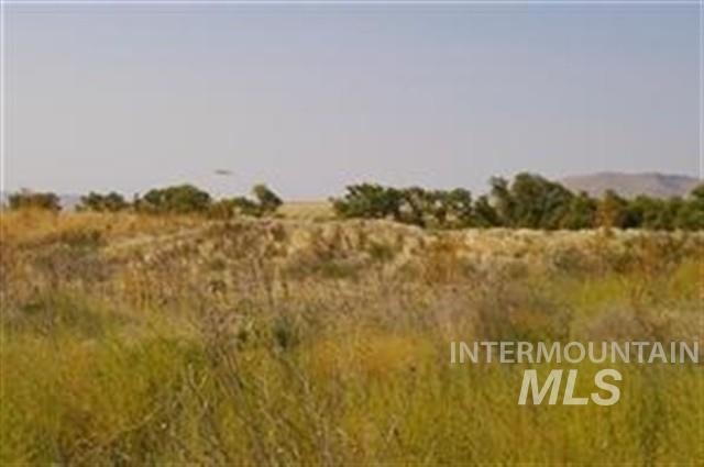 Lot 8, Block 1 Indian Hot Springs Subdivision - Photo 1