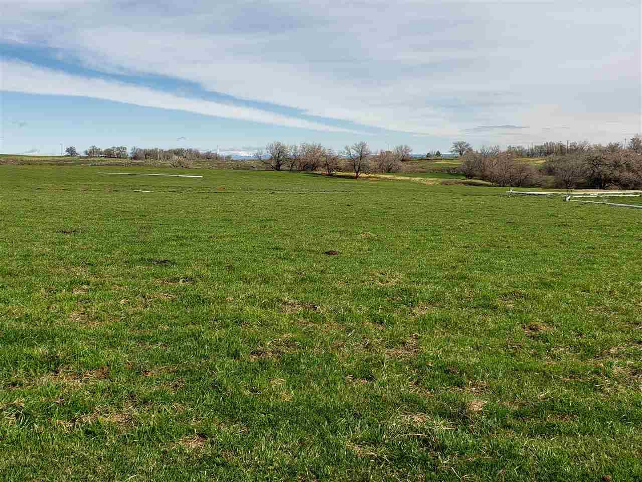 1125 4300 N - Photo 1