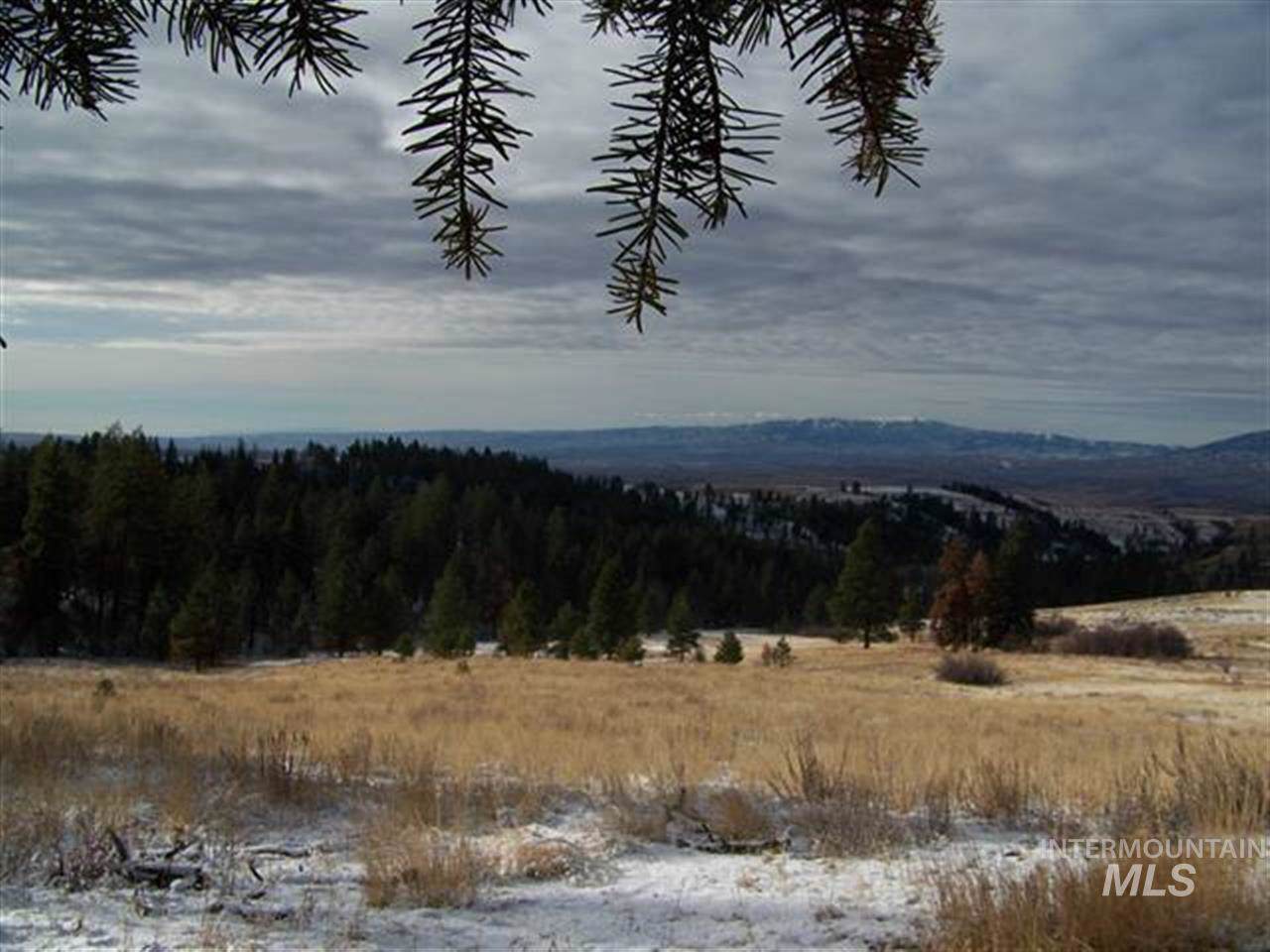 62 Little Fall Creek - Photo 1